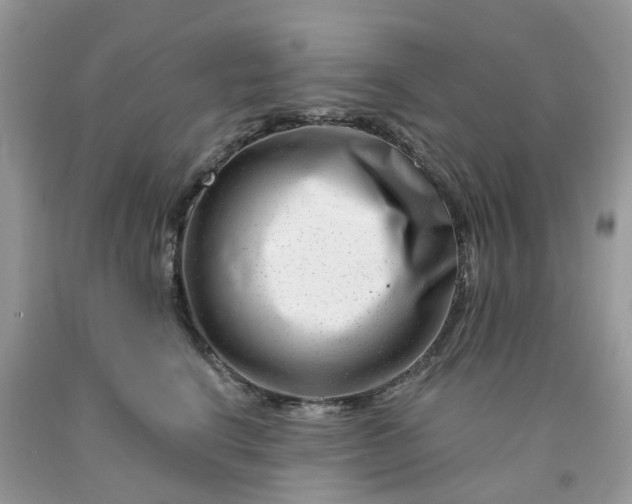 X0000091670664200709061043