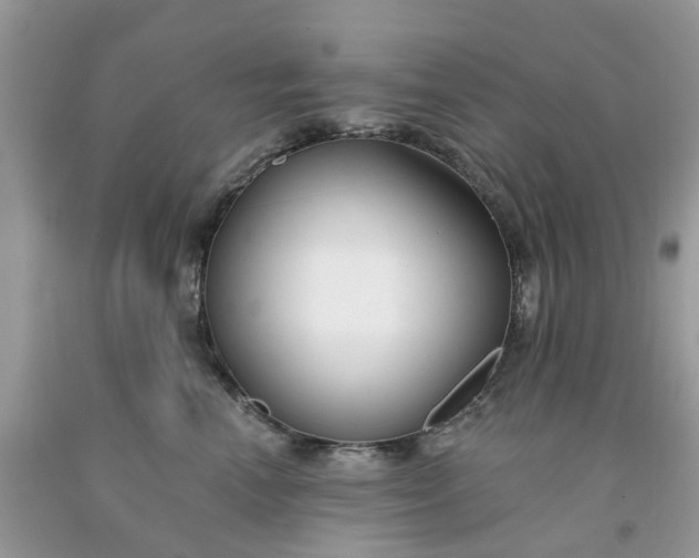 X0000091670666200709061044