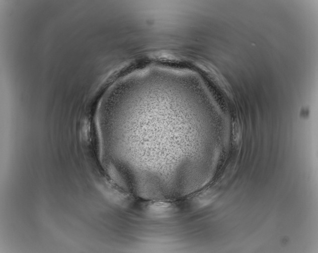 X0000091670669200709061044