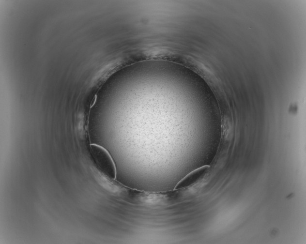 X0000091670670200709061044