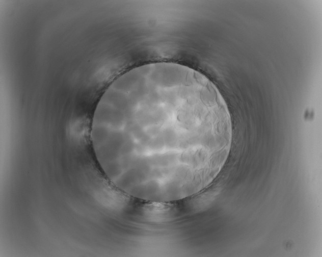 X0000091670672200709061044