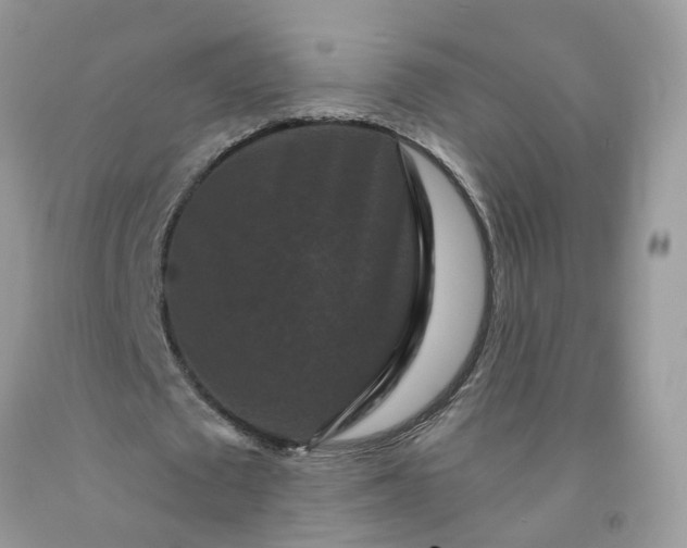 X0000091670673200709061043