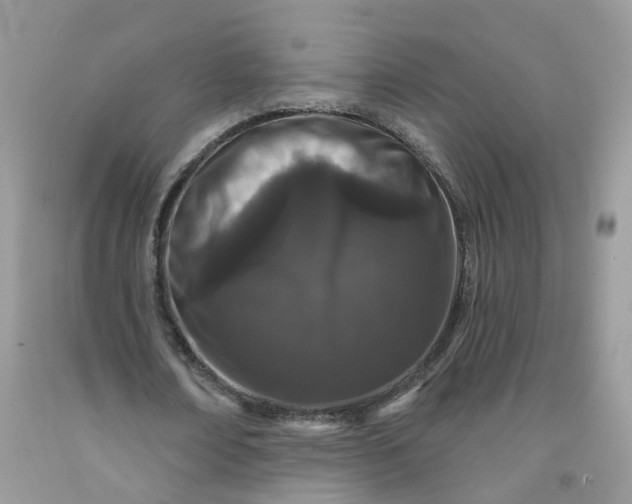X0000091670674200709061043