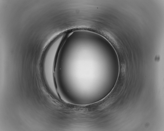 X0000091670676200709061043