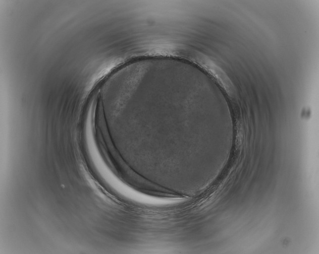 X0000091670677200709061043