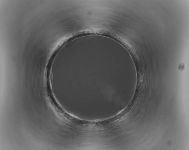 X0000091670678200709061043