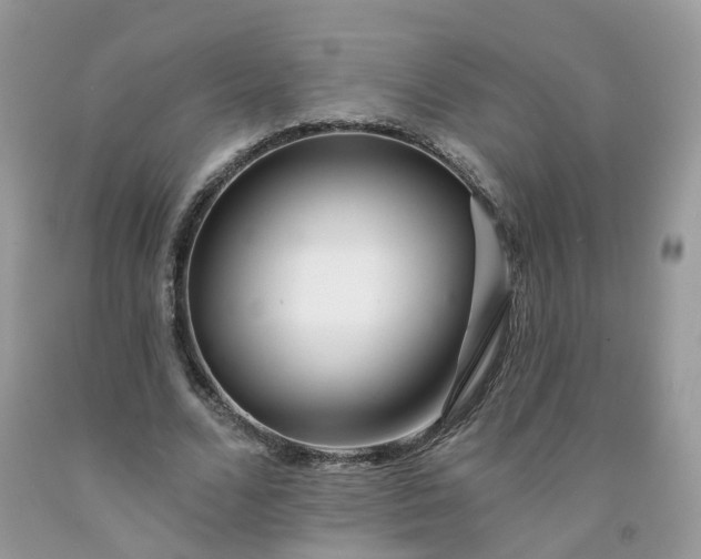 X0000091670680200709061043