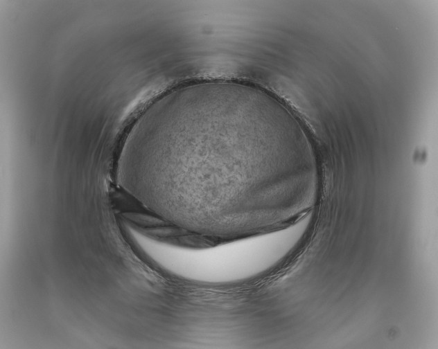X0000091670681200709061043