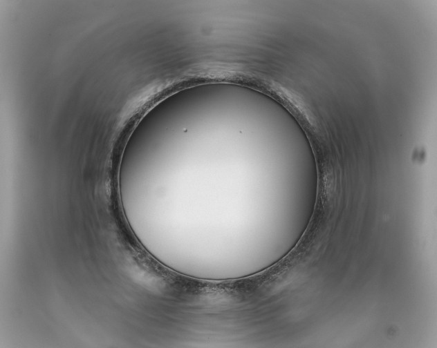 X0000091670682200709061043