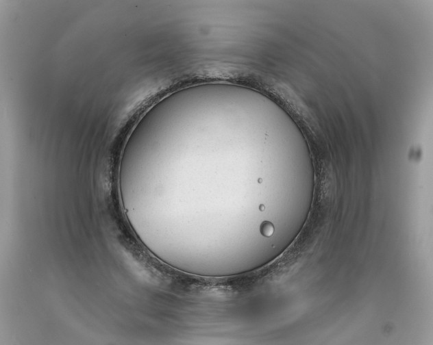 X0000091670683200709061043