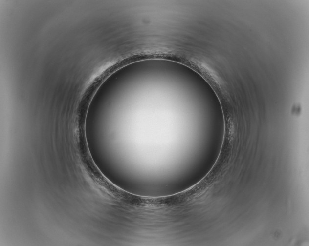 X0000091670684200709061043