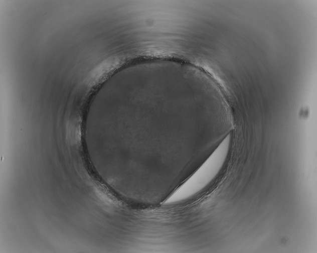 X0000091670685200709061043