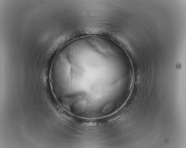 X0000091670687200709061043