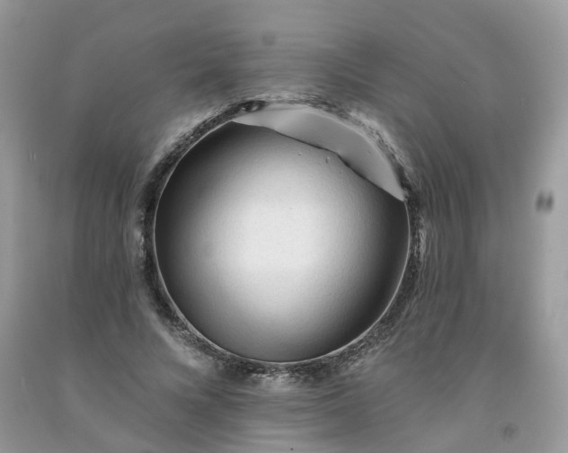 X0000091670688200709061043