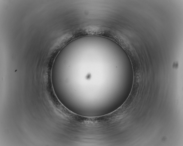 X0000091670690200709061043