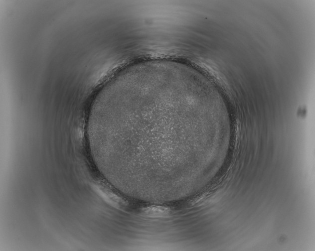 X0000091670691200709061043