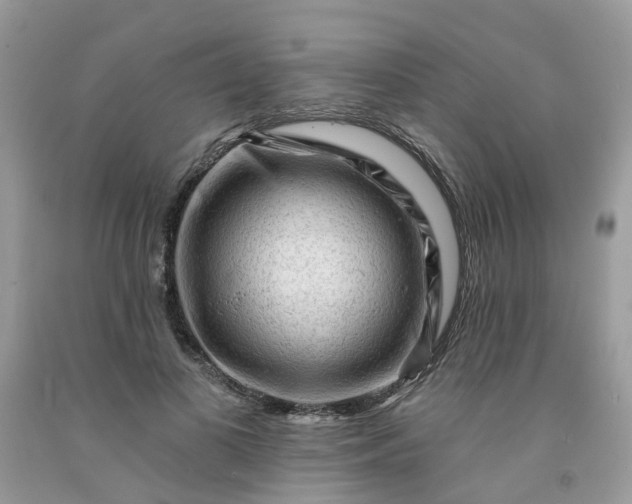 X0000091670693200709061043