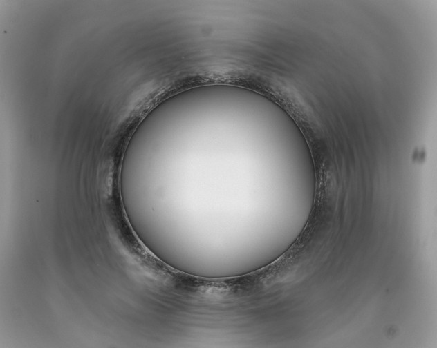 X0000091670694200709061043