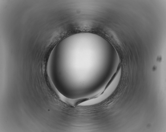 X0000091670697200709061043