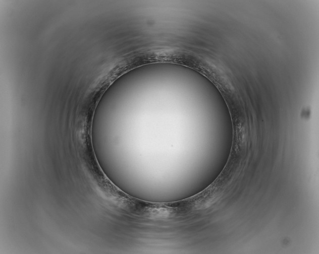 X0000091670698200709061043