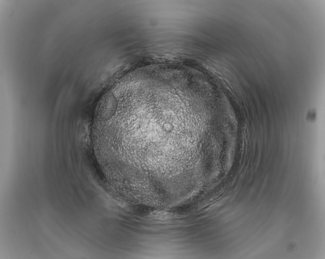 X0000091670699200709061043