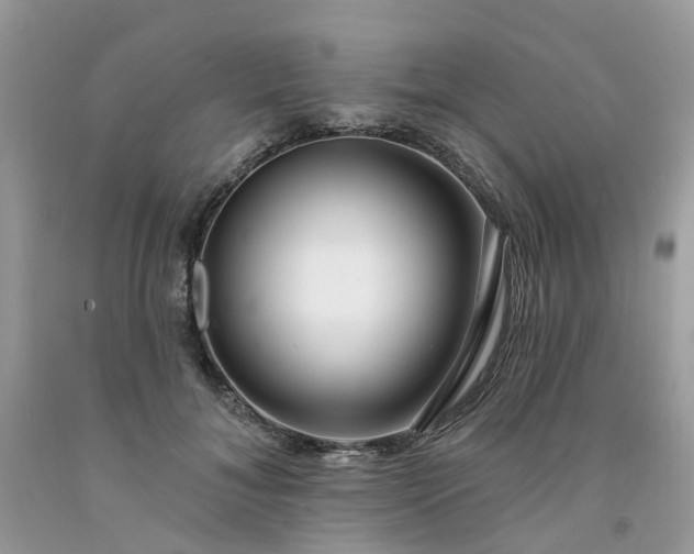 X0000091670700200709061043
