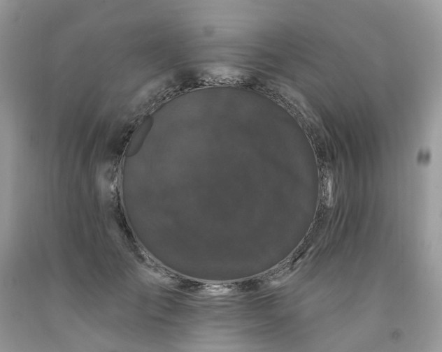 X0000091670701200709061043