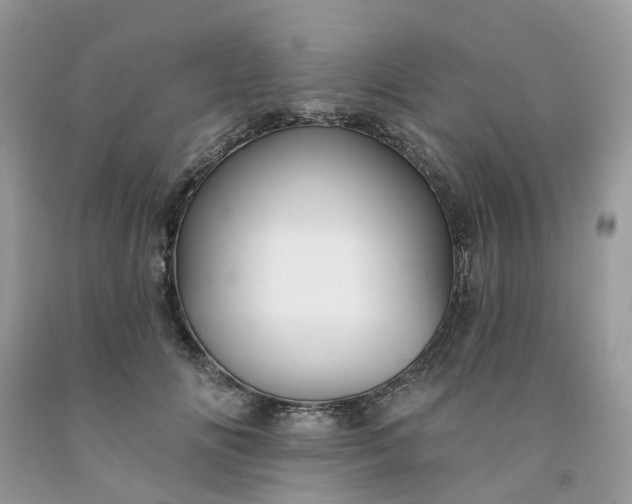 X0000091670702200709061043