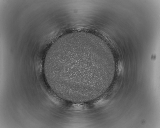 X0000091670703200709061043