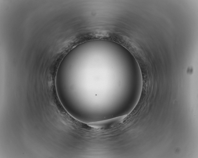 X0000091670704200709061043