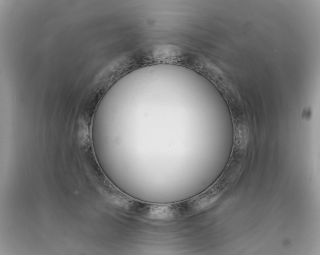 X0000091670705200709061043