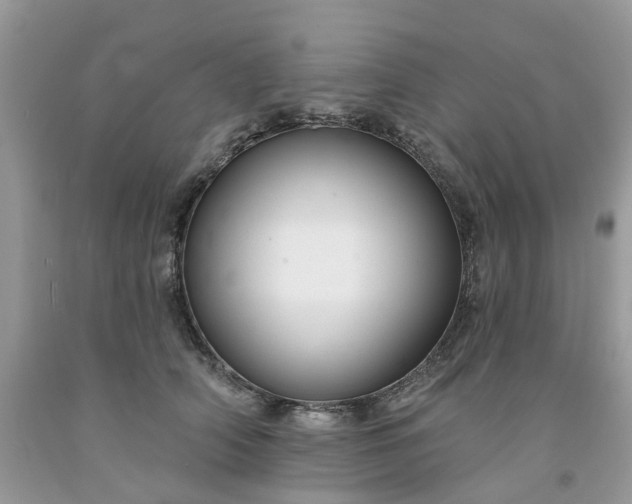 X0000091670706200709061043