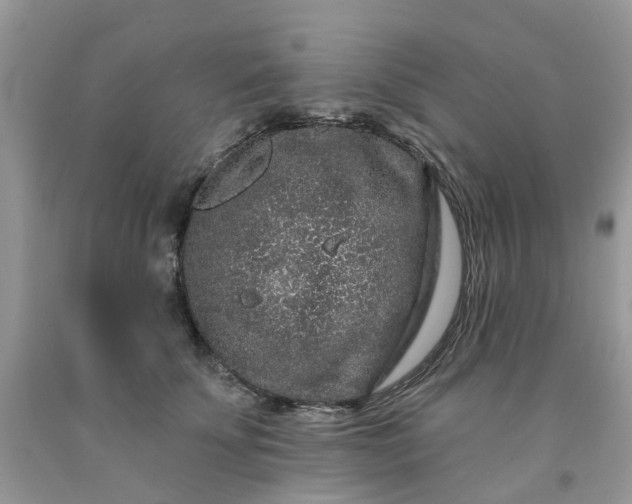 X0000091670707200709061043