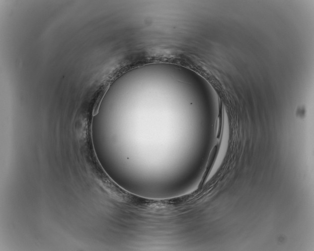 X0000091670708200709061043