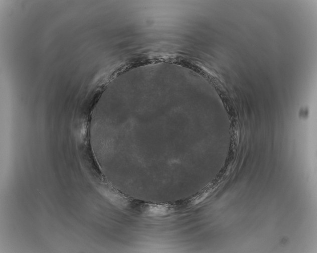 X0000091670709200709061043