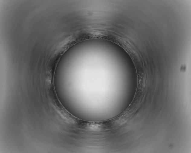 X0000091670710200709061043