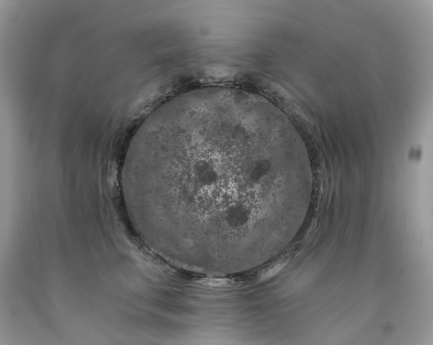 X0000091670711200709061043