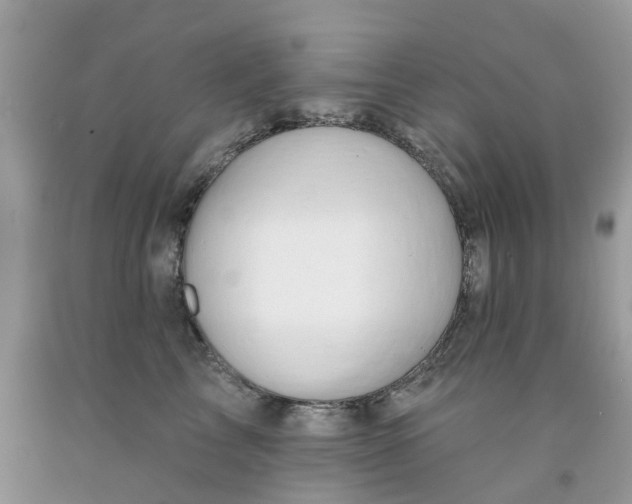 X0000091670713200709061042