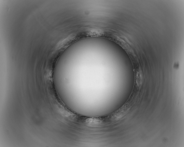 X0000091670714200709061042
