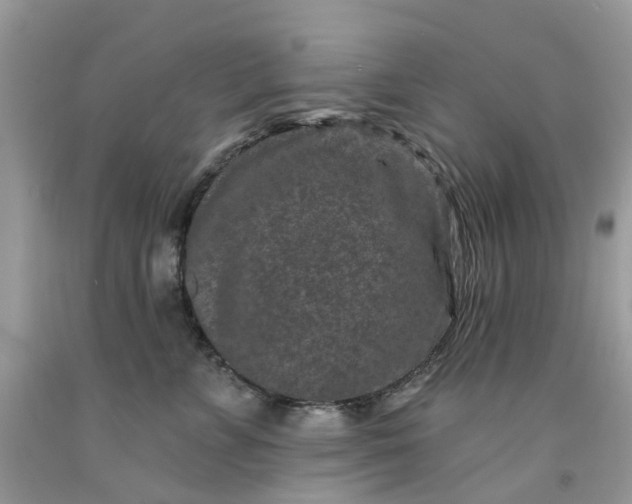 X0000091670715200709061042