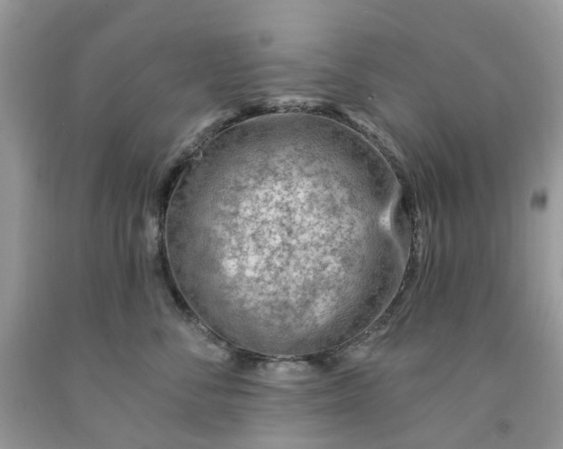 X0000091670716200709061042