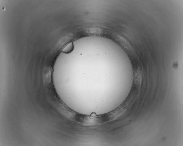 X0000091670717200709061042