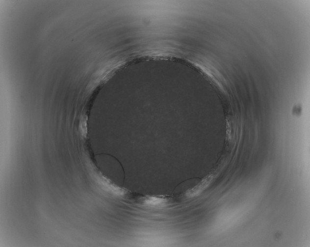 X0000091670718200709061042