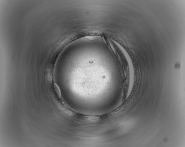 X0000091670719200709061042