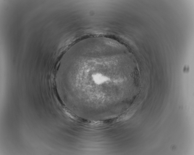 X0000091670720200709061042