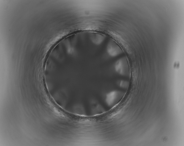 X0000091670721200709061042
