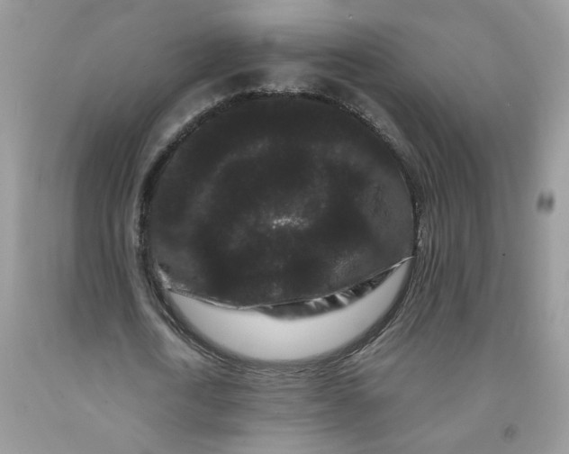 X0000091670722200709061042