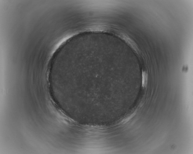 X0000091670723200709061042