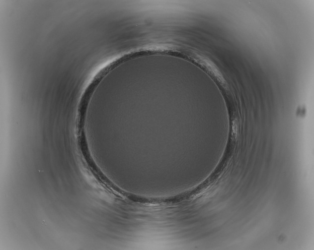 X0000091670724200709061042