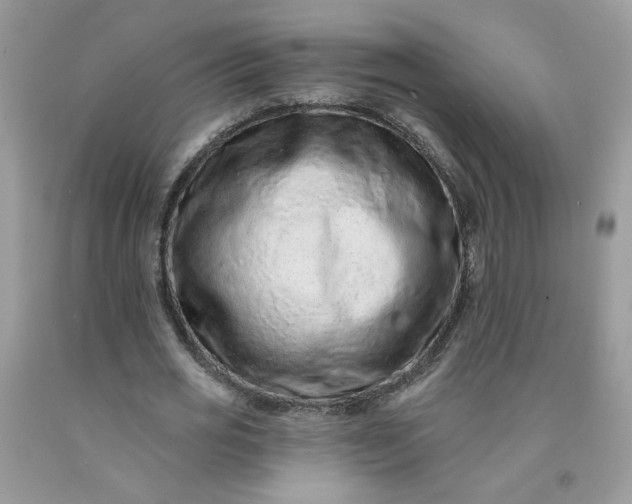 X0000091670725200709061042